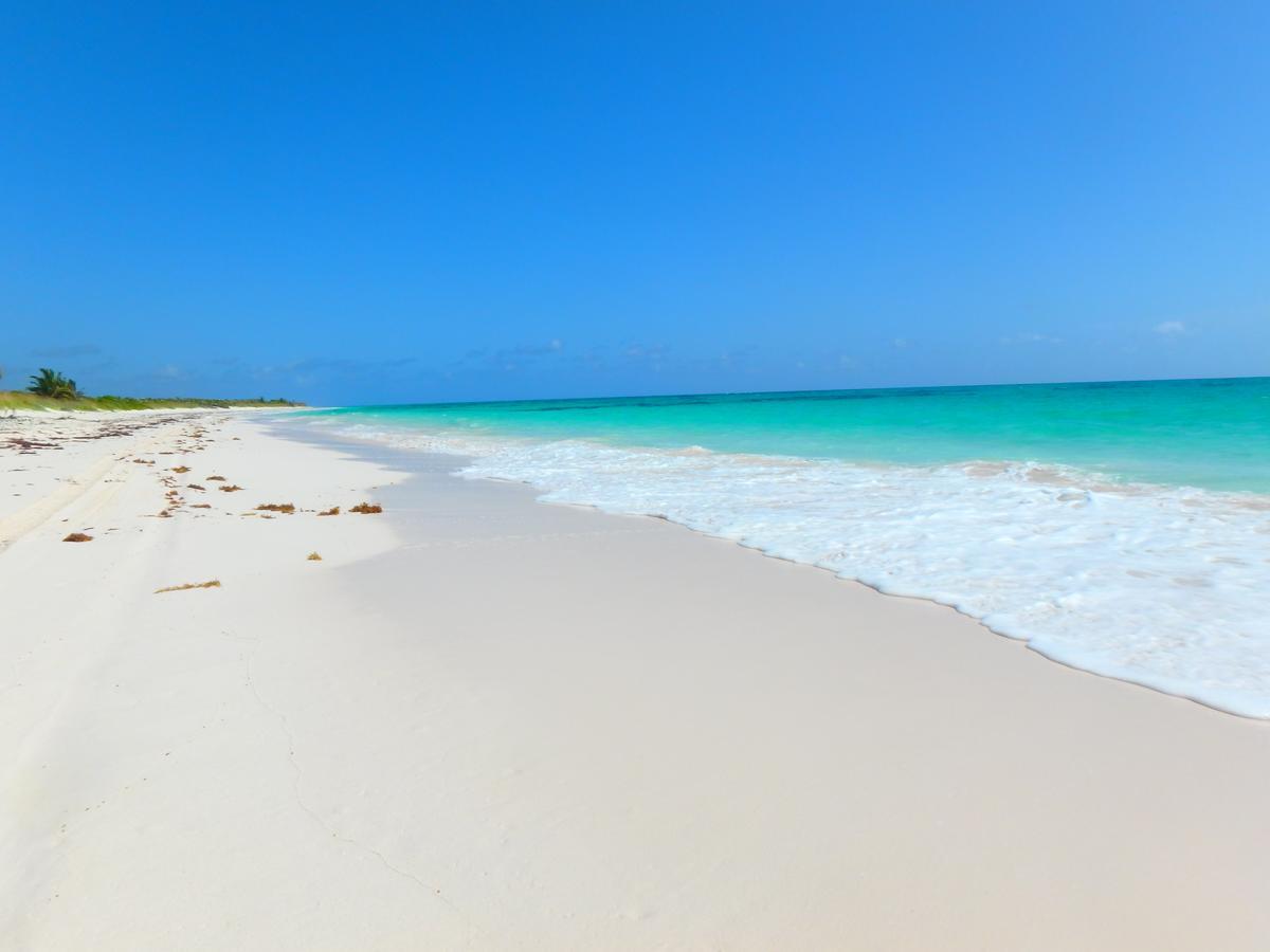 Greenwood Beach Resort Bailey Town  المظهر الخارجي الصورة